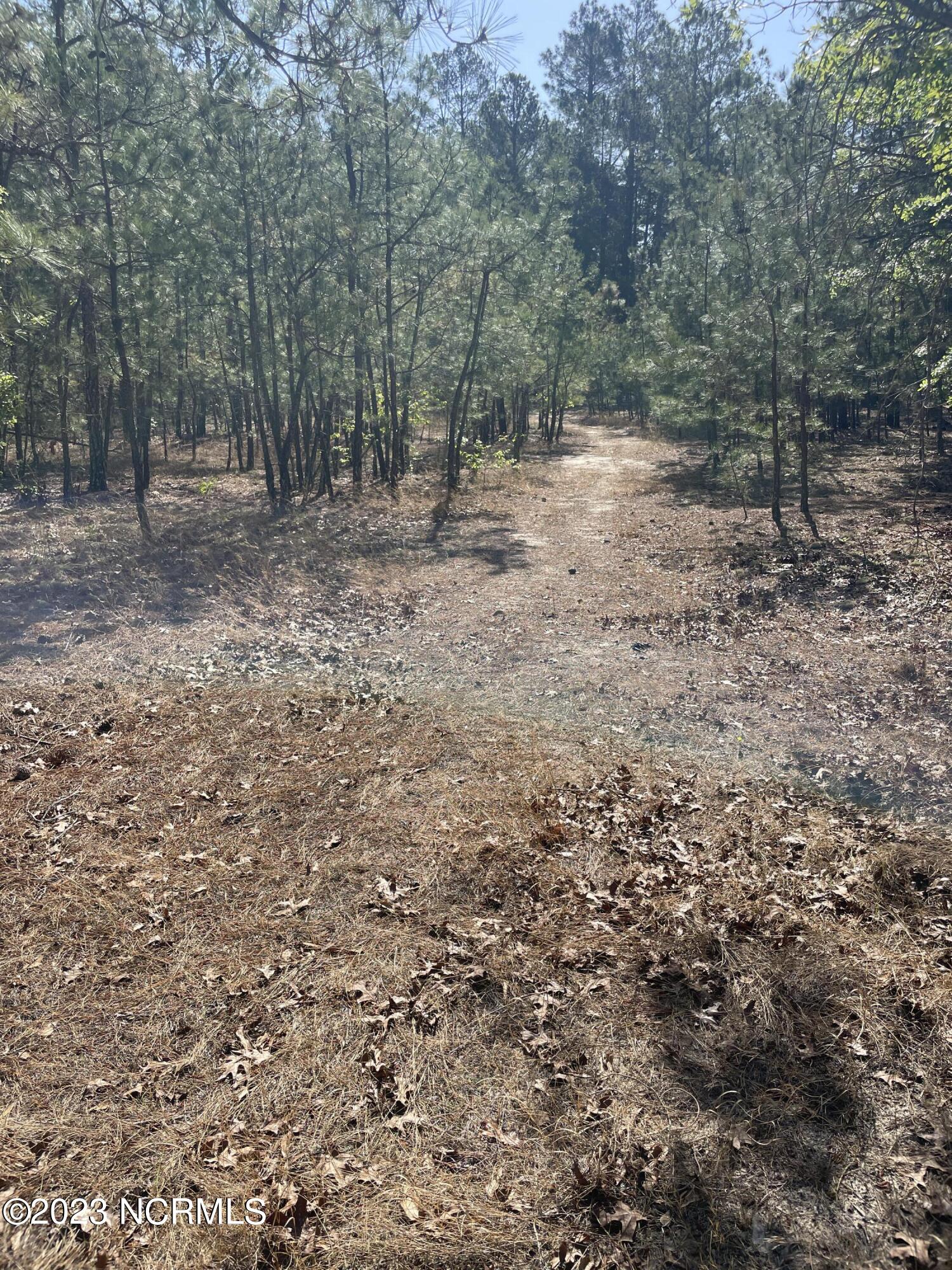 Tbd Tbd Mcfarland Road Laurel Hill, NC 28351 - Photo 17 of 41 Scotland_11.164_8