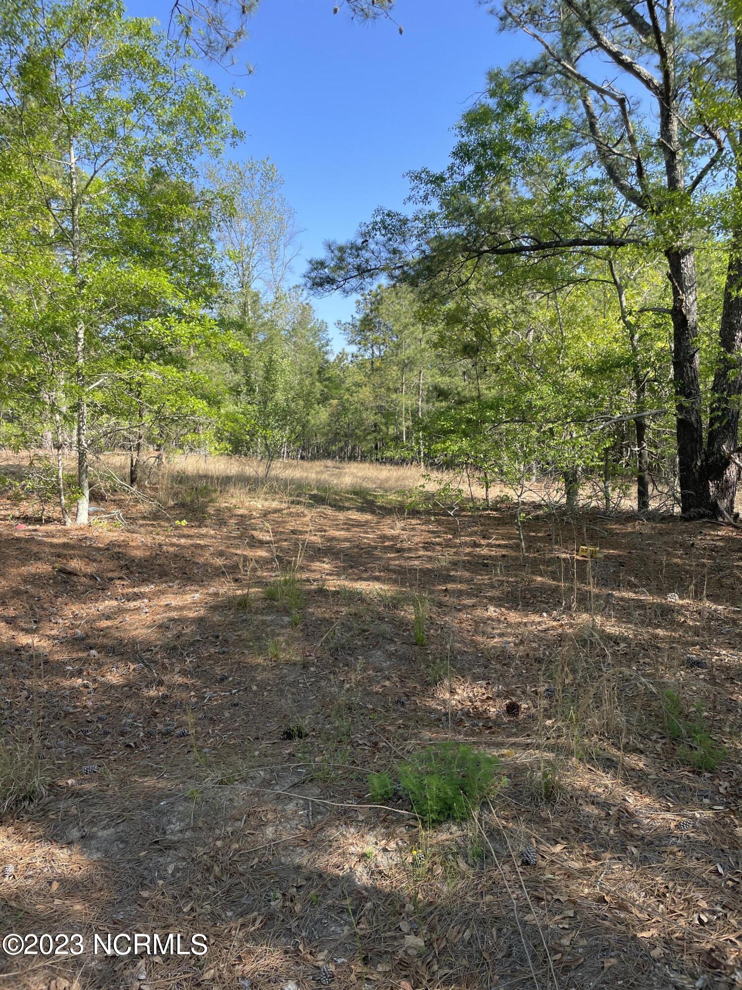 Tbd Tbd Mcfarland Road Laurel Hill, NC 28351 - Photo 18 of 41 Scotland_11.164_7