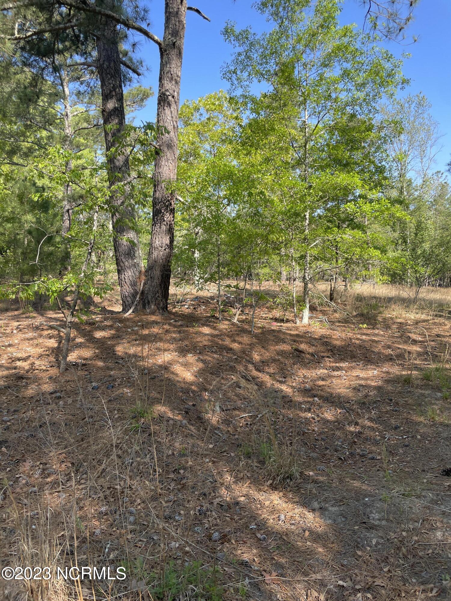 Tbd Tbd Mcfarland Road Laurel Hill, NC 28351 - Photo 19 of 41 Scotland_11.164_6