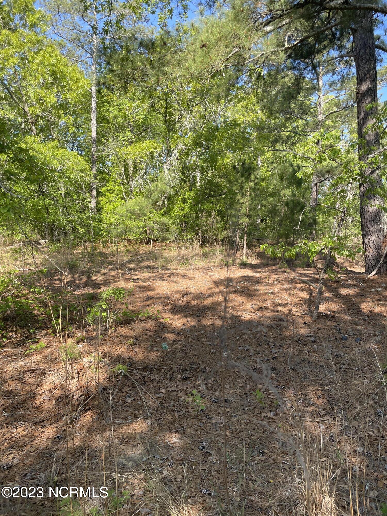 Tbd Tbd Mcfarland Road Laurel Hill, NC 28351 - Photo 20 of 41 Scotland_11.164_5