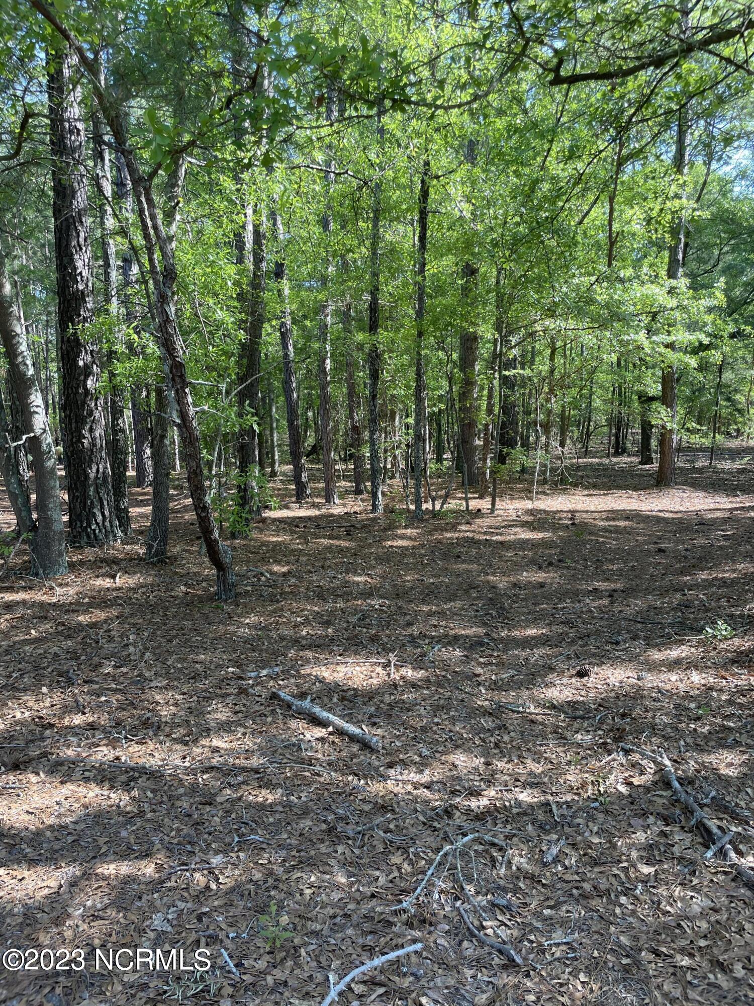 Tbd Tbd Mcfarland Road Laurel Hill, NC 28351 - Photo 2 of 41 Scotland_11.164_23