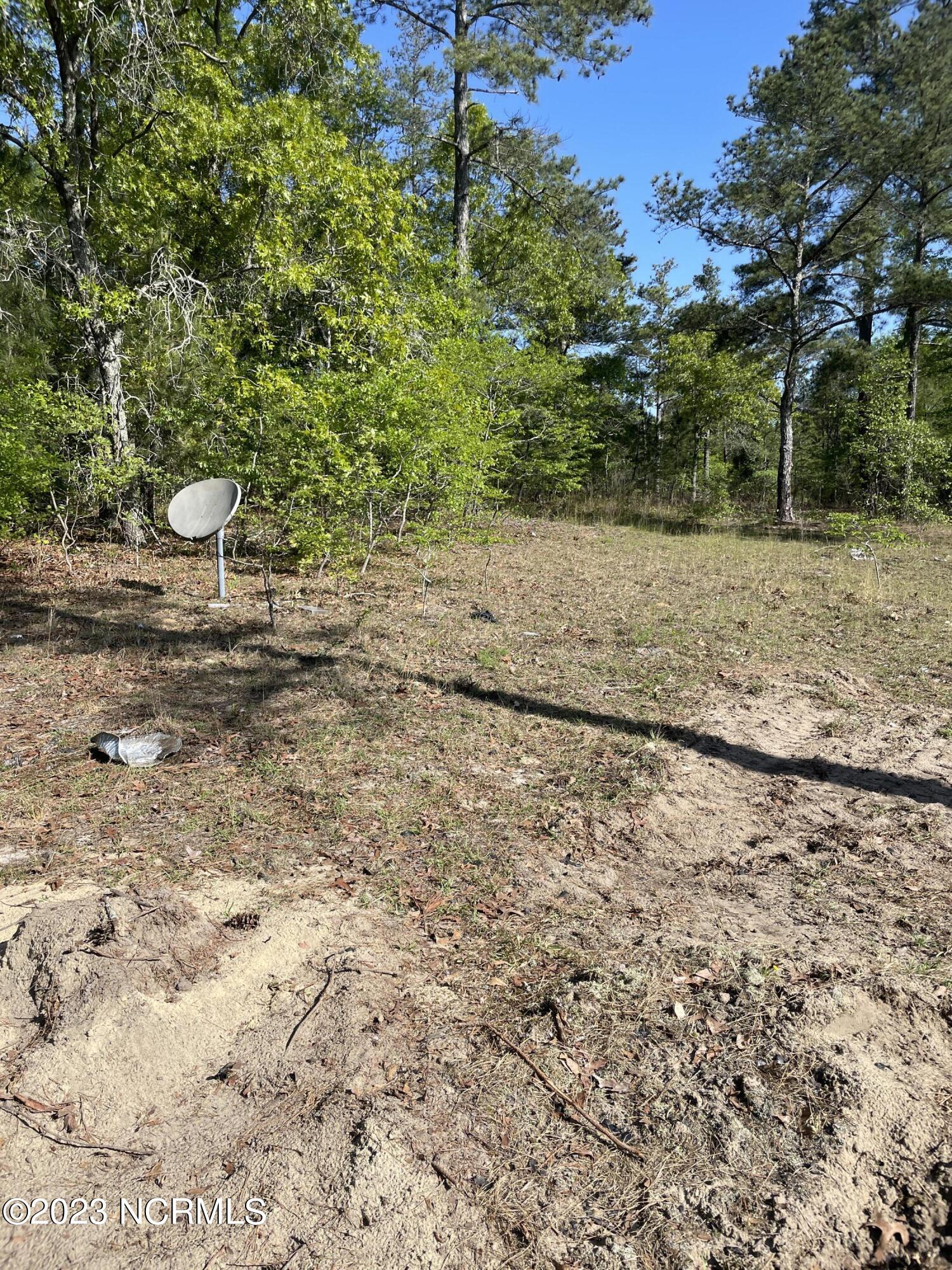 Tbd Tbd Mcfarland Road Laurel Hill, NC 28351 - Photo 21 of 41 Scotland_11.164_4