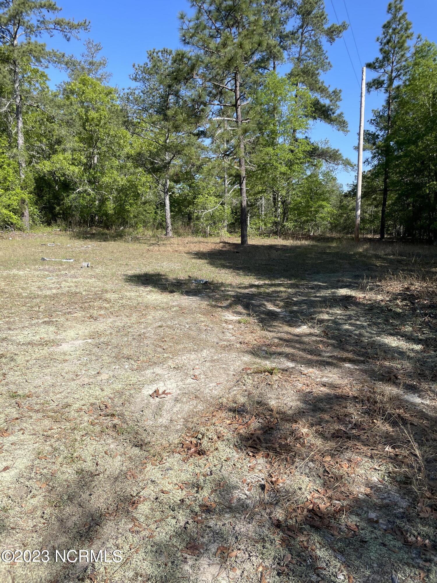 Tbd Tbd Mcfarland Road Laurel Hill, NC 28351 - Photo 22 of 41 Scotland_11.164_2