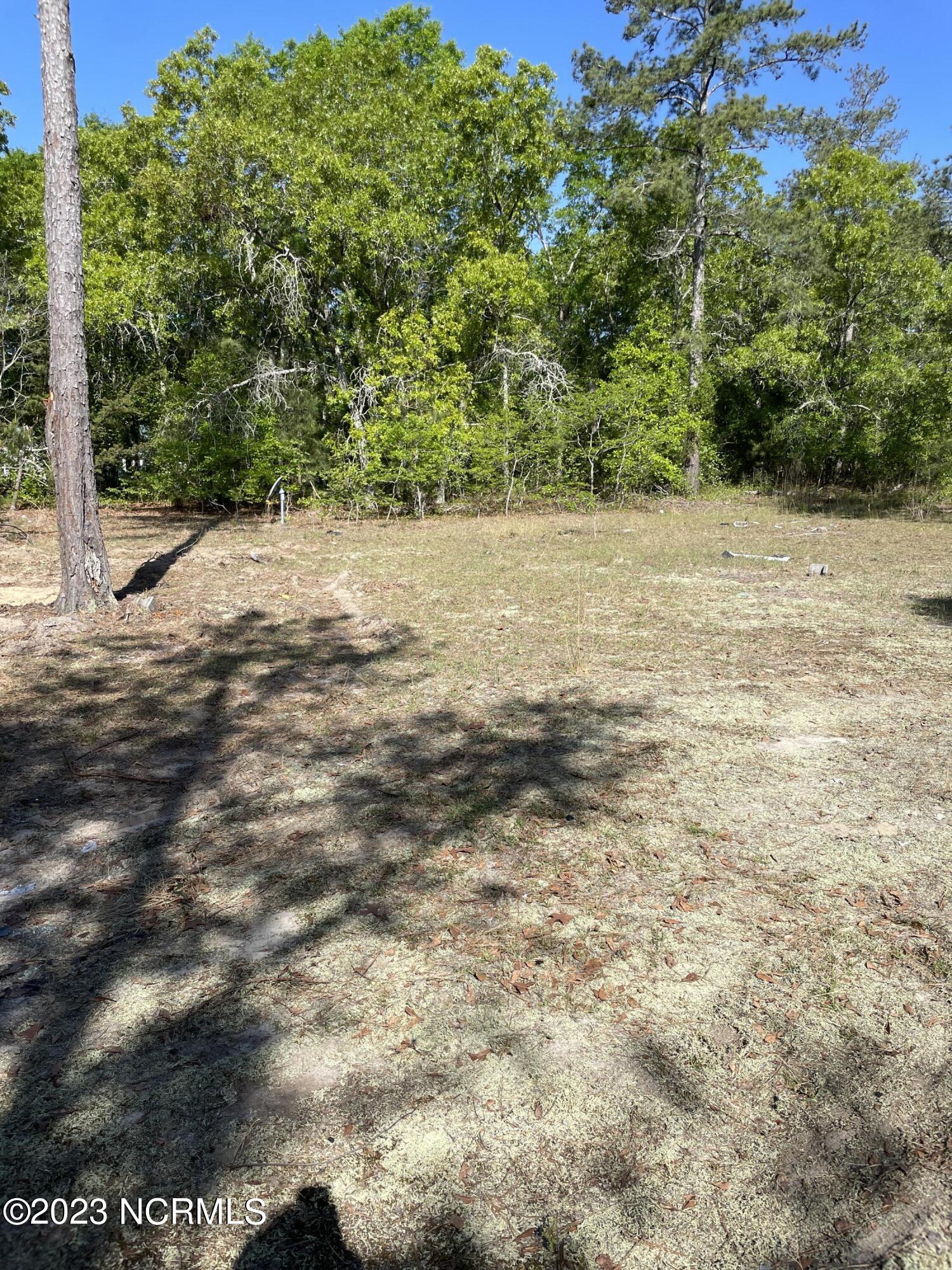 Tbd Tbd Mcfarland Road Laurel Hill, NC 28351 - Photo 23 of 41 Scotland_11.164_1