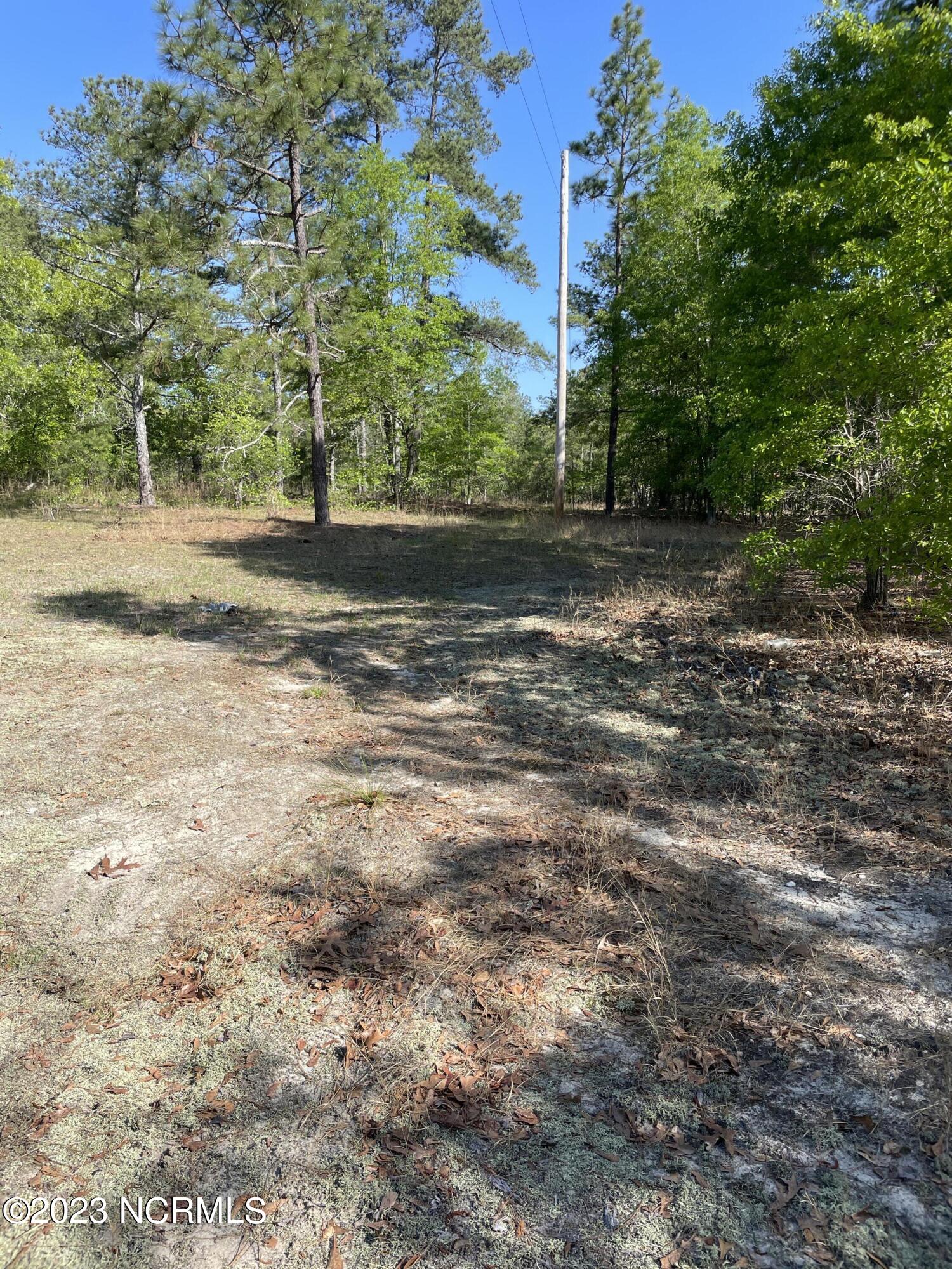 Tbd Tbd Mcfarland Road Laurel Hill, NC 28351 - Photo 24 of 41 Scotland_11.164_3