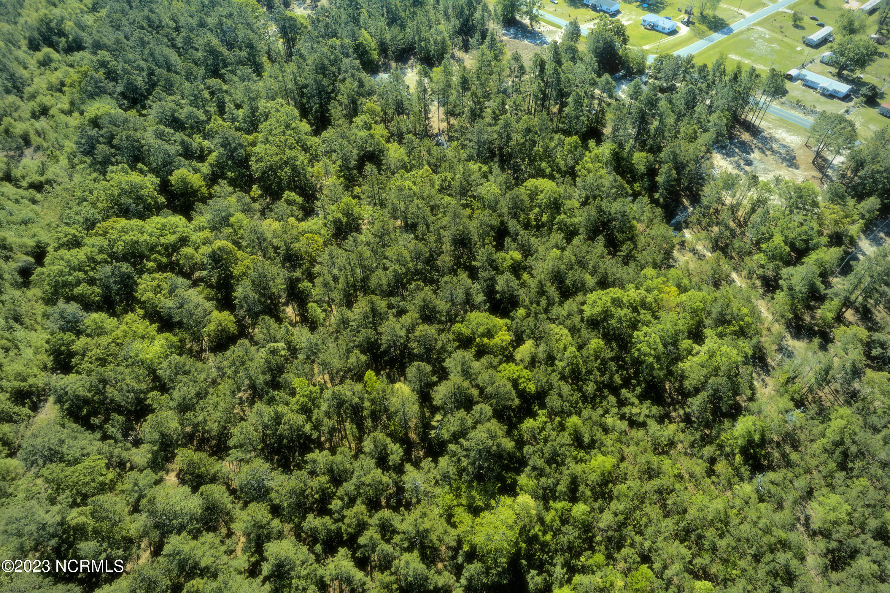 Tbd Tbd Mcfarland Road Laurel Hill, NC 28351 - Photo 27 of 41 Scotland_11.164_39