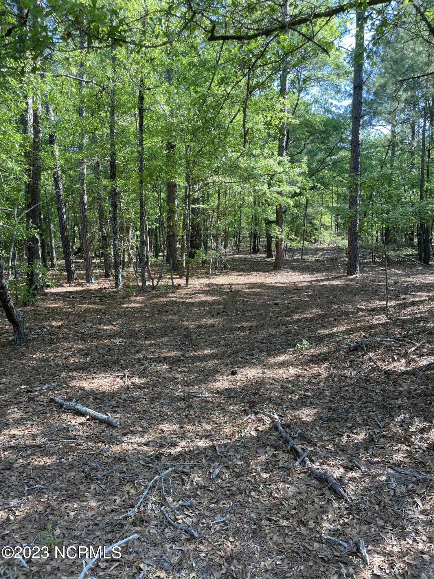 Tbd Tbd Mcfarland Road Laurel Hill, NC 28351 - Photo 3 of 41 Scotland_11.164_22