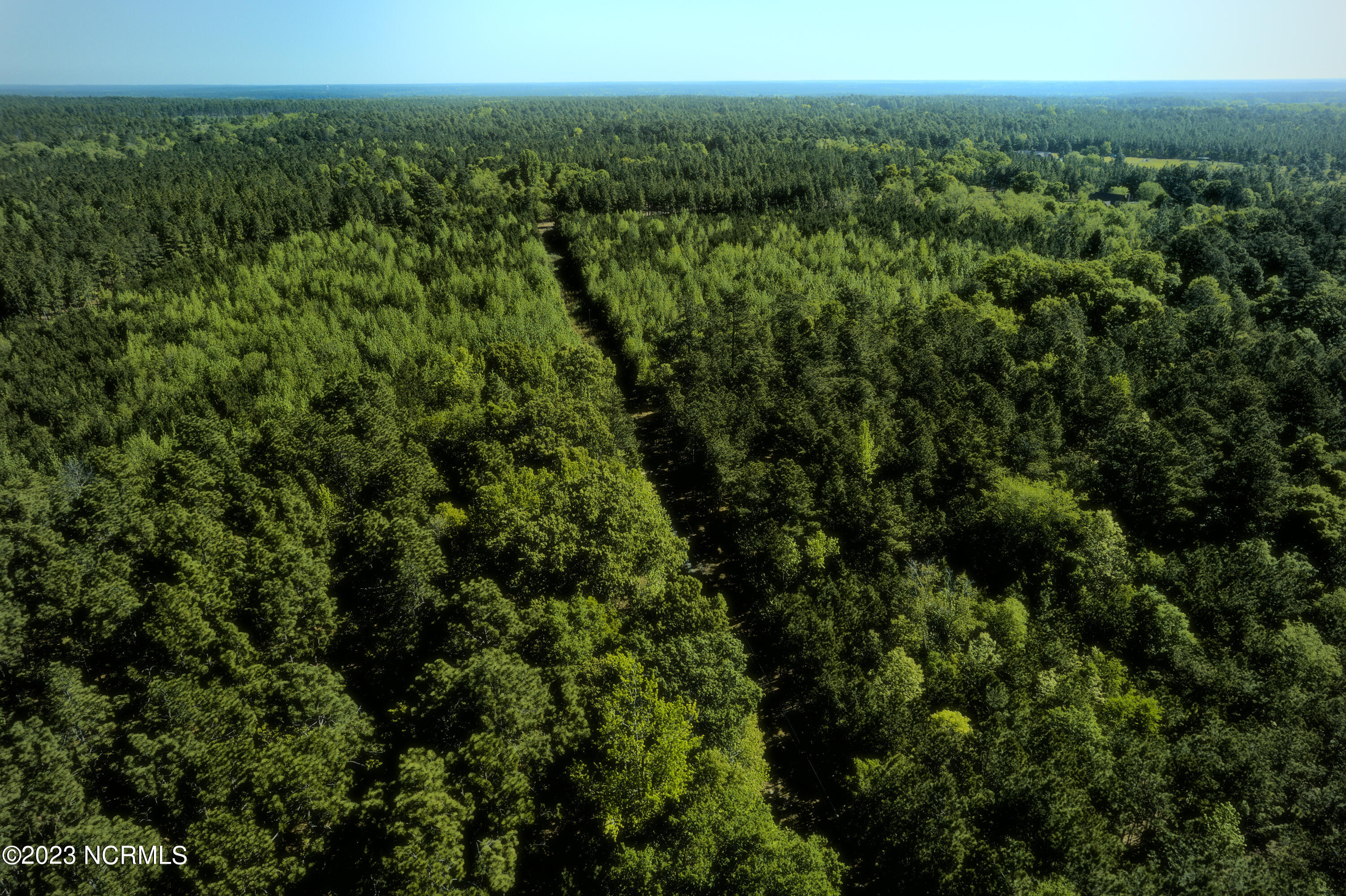 Tbd Tbd Mcfarland Road Laurel Hill, NC 28351 - Photo 34 of 41 Scotland_11.164_32