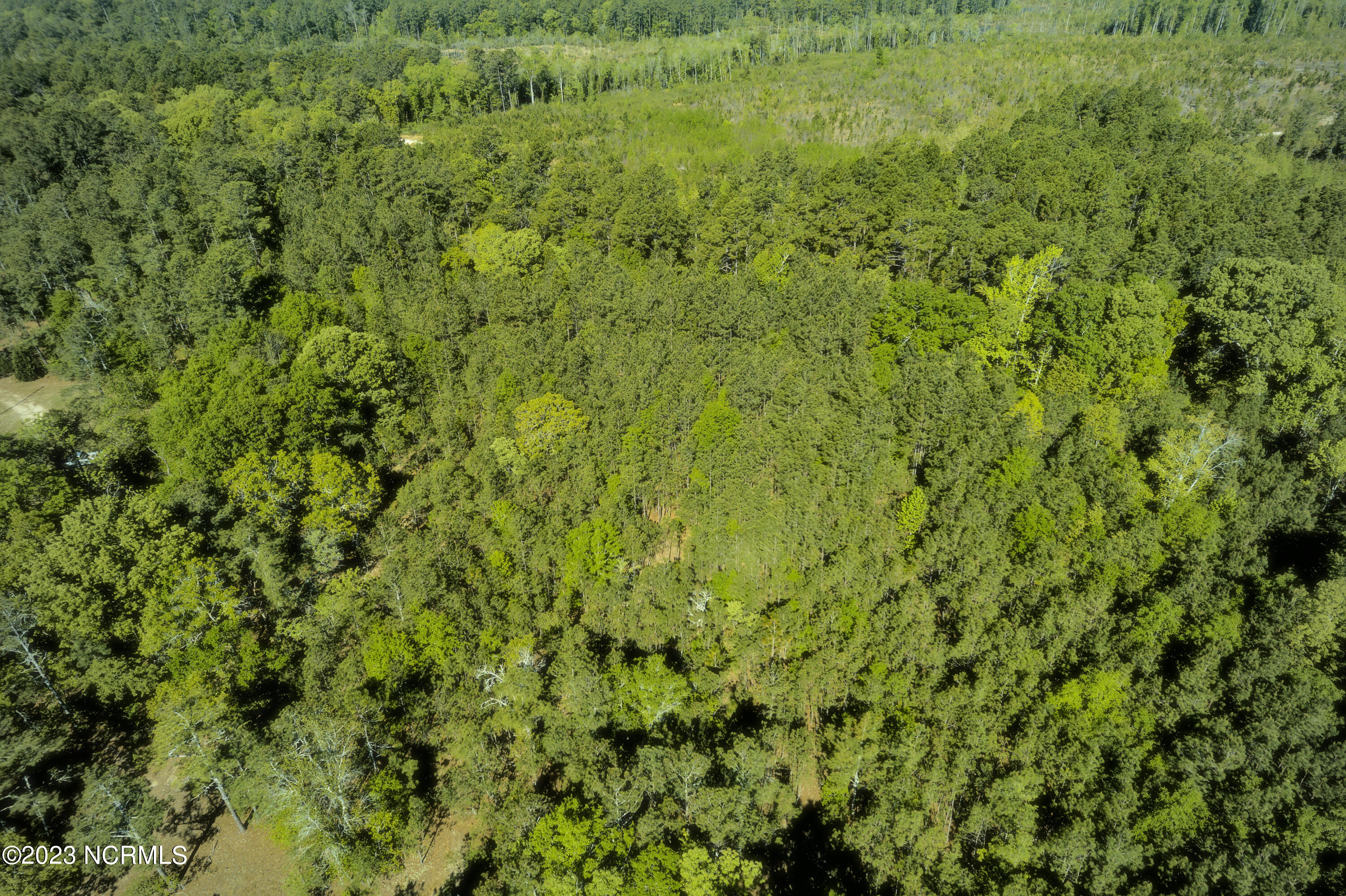 Tbd Tbd Mcfarland Road Laurel Hill, NC 28351 - Photo 35 of 41 Scotland_11.164_30