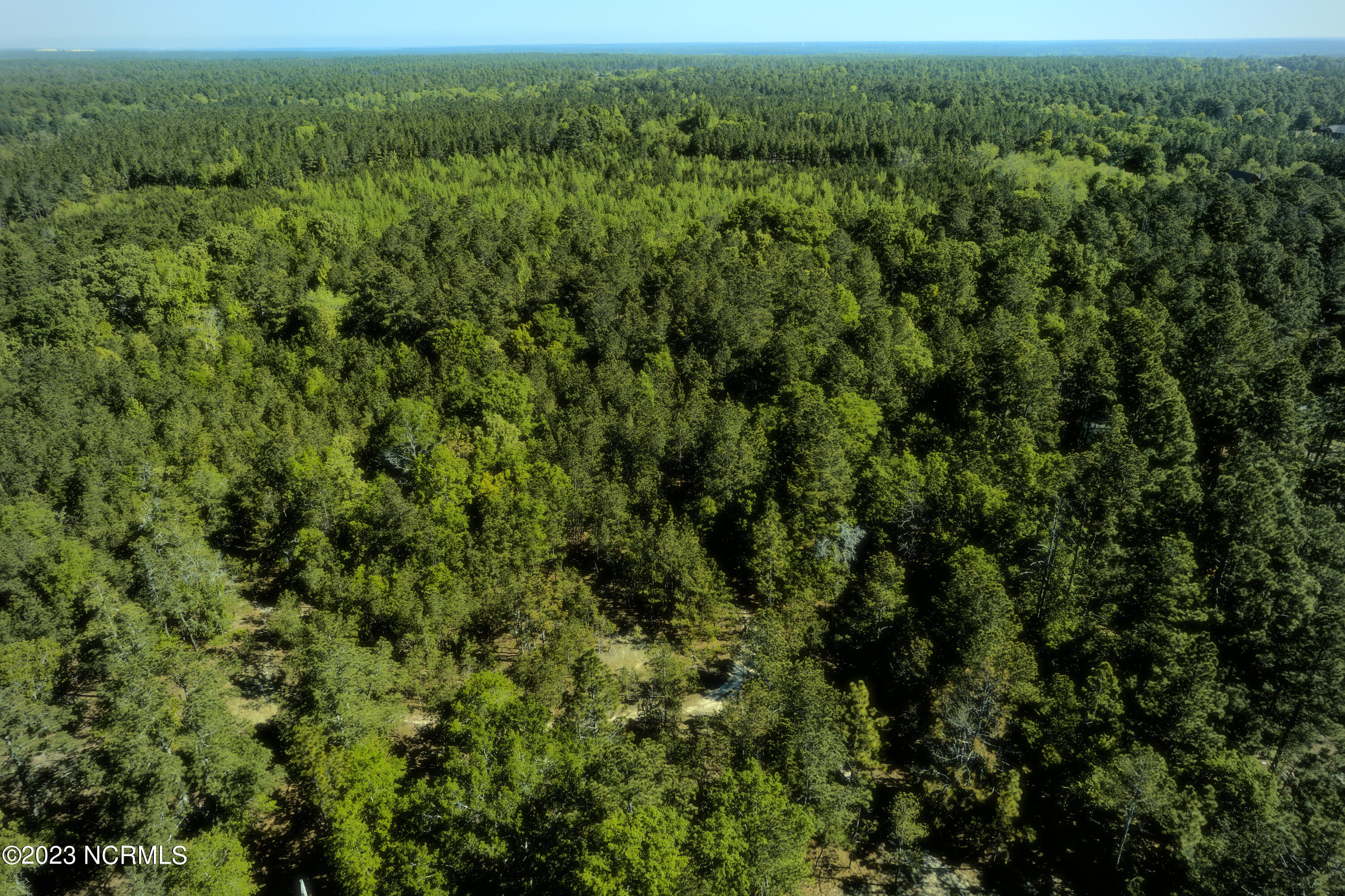 Tbd Tbd Mcfarland Road Laurel Hill, NC 28351 - Photo 37 of 41 Scotland_11.164_28