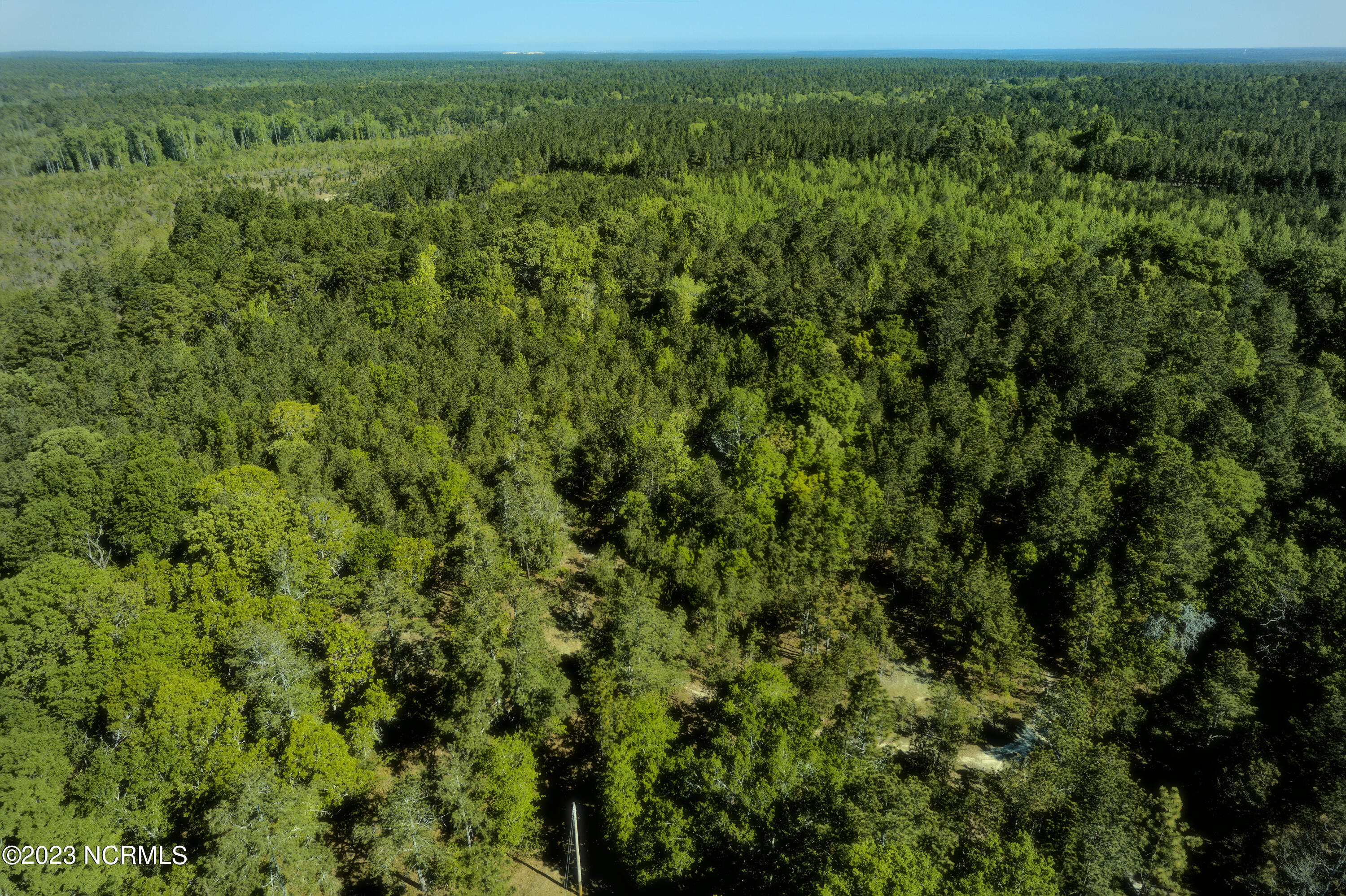Tbd Tbd Mcfarland Road Laurel Hill, NC 28351 - Photo 39 of 41 Scotland_11.164_26