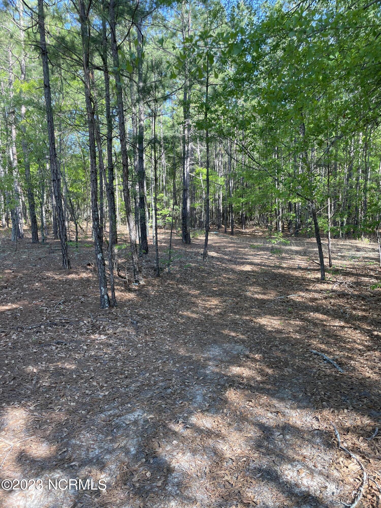 Tbd Tbd Mcfarland Road Laurel Hill, NC 28351 - Photo 4 of 41 Scotland_11.164_21