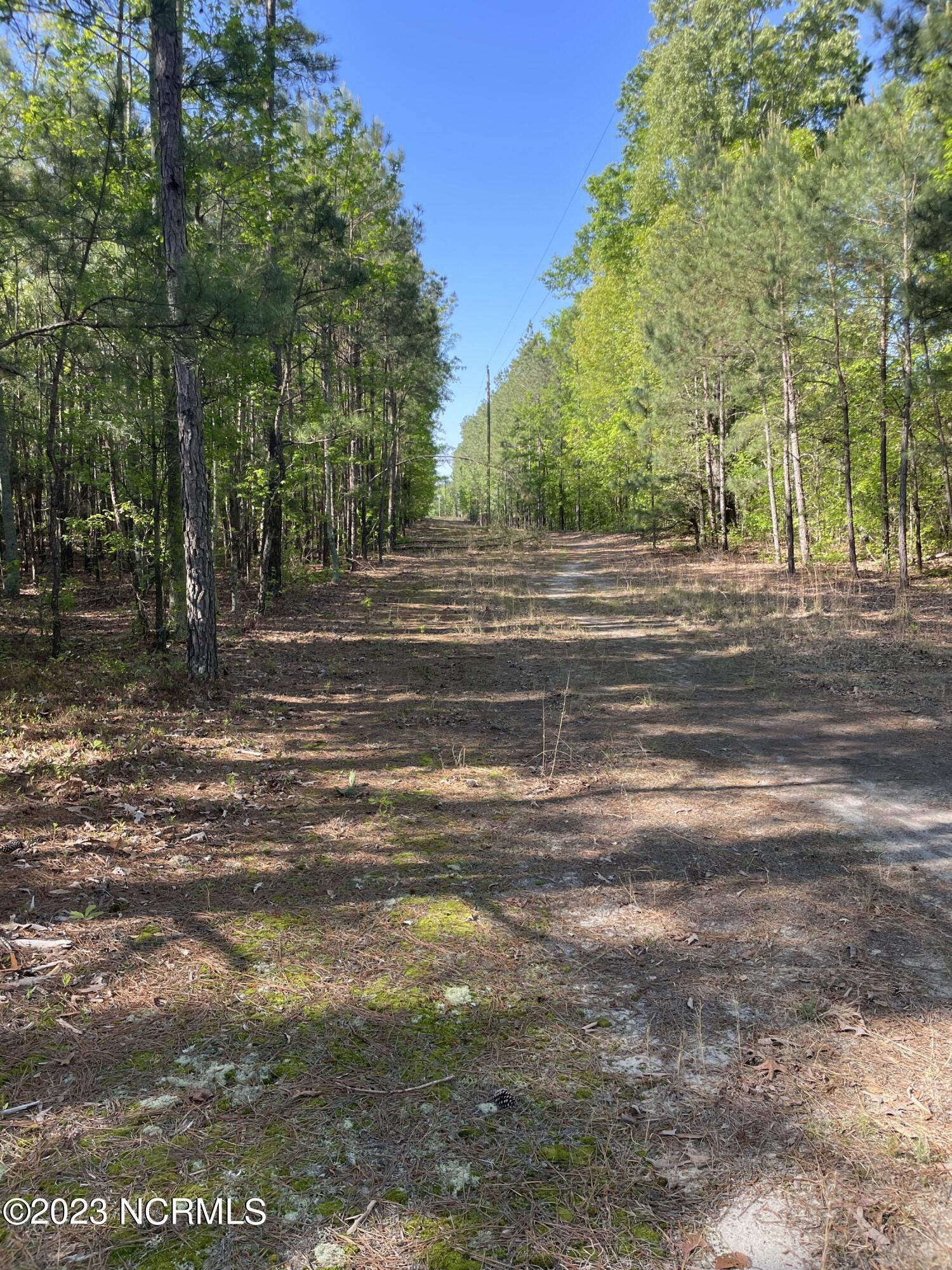 Tbd Tbd Mcfarland Road Laurel Hill, NC 28351 - Photo 10 of 41 Scotland_11.164_15