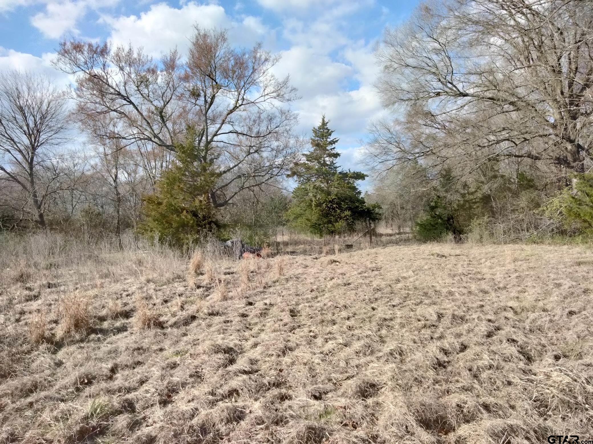 410 Tbd Fm Detroit, TX 75436 - Photo 2 of 9