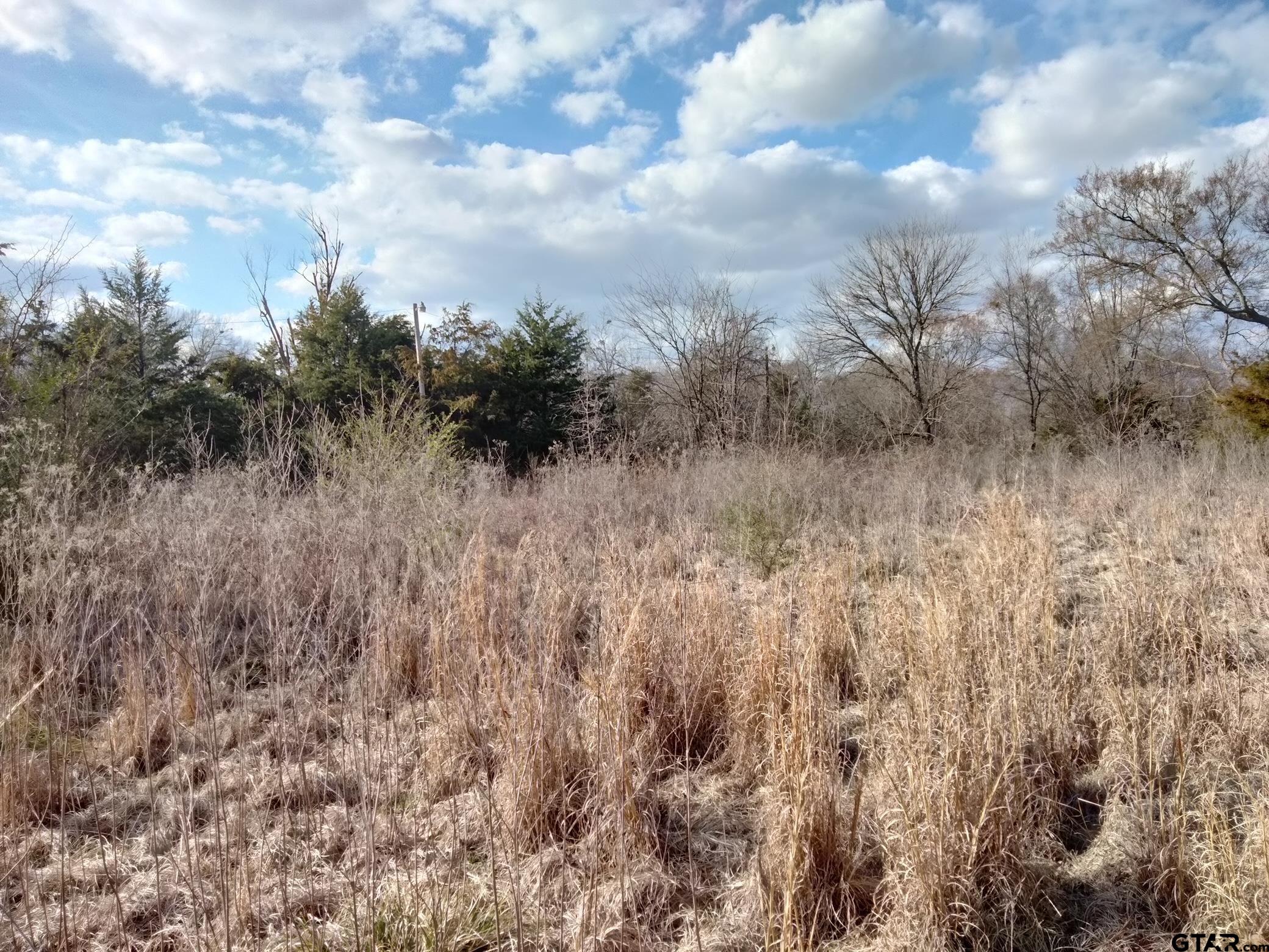 410 Tbd Fm Detroit, TX 75436 - Photo 3 of 9