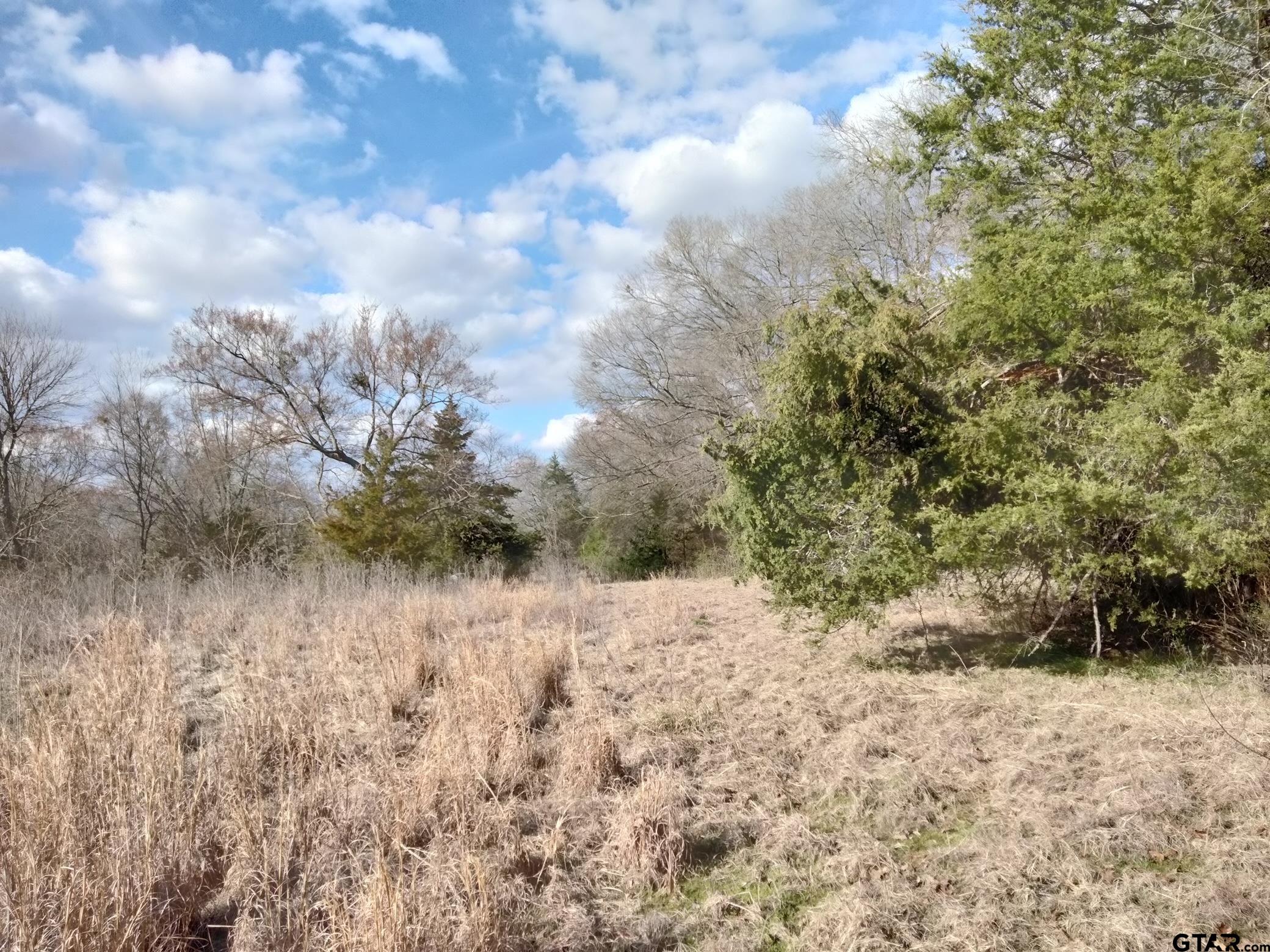 410 Tbd Fm Detroit, TX 75436 - Photo 4 of 9