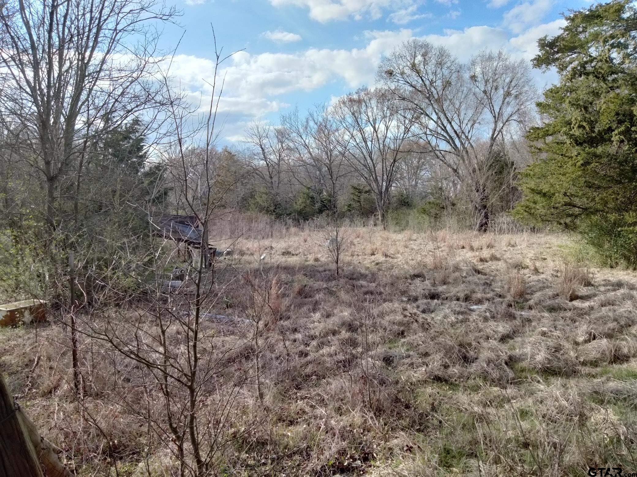 410 Tbd Fm Detroit, TX 75436 - Photo 6 of 9