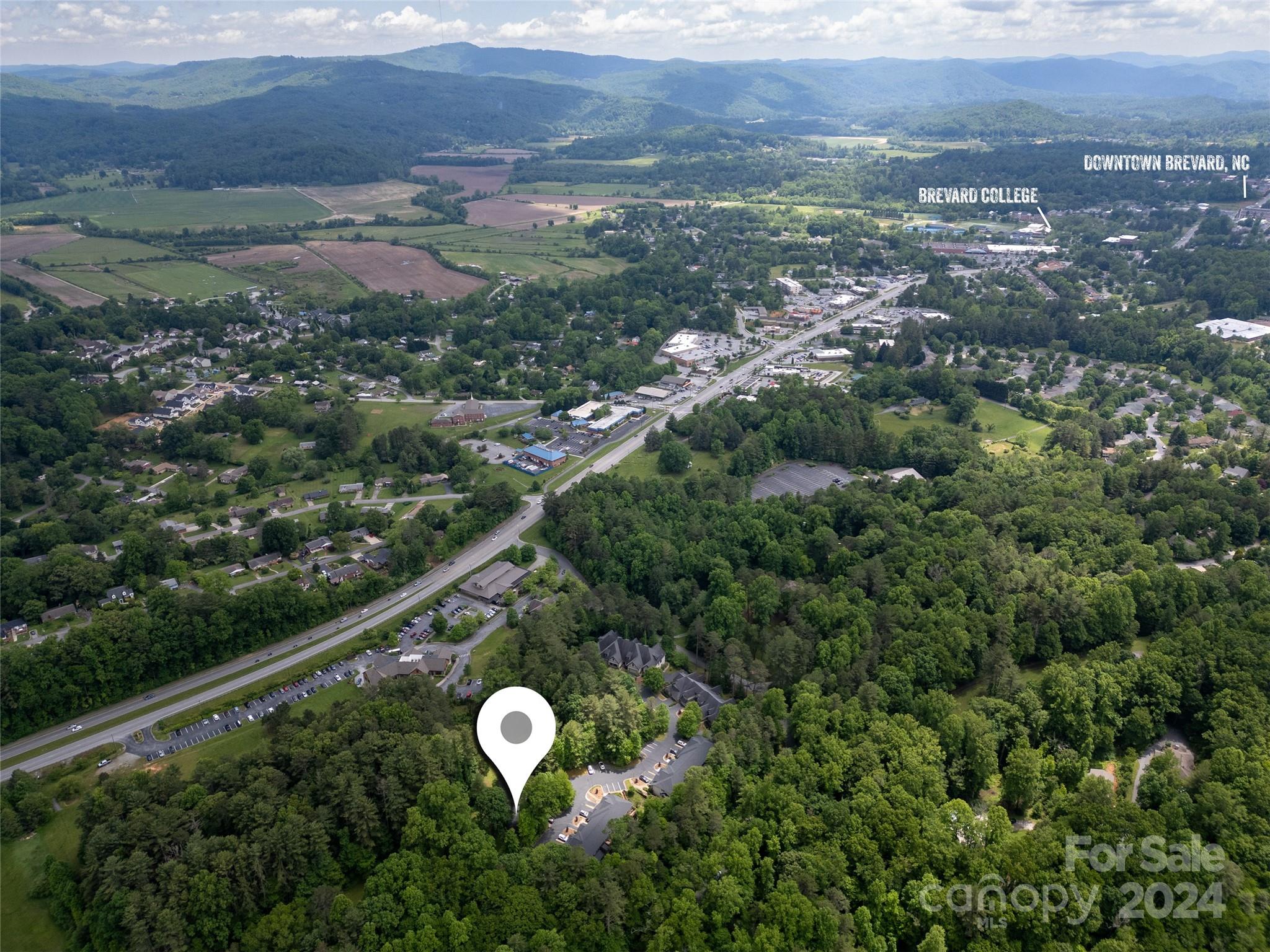 99 Ridgetop Circle, Unit 102 Brevard, NC 28712 - Photo 7 of 36 a view of a city with lush green forest