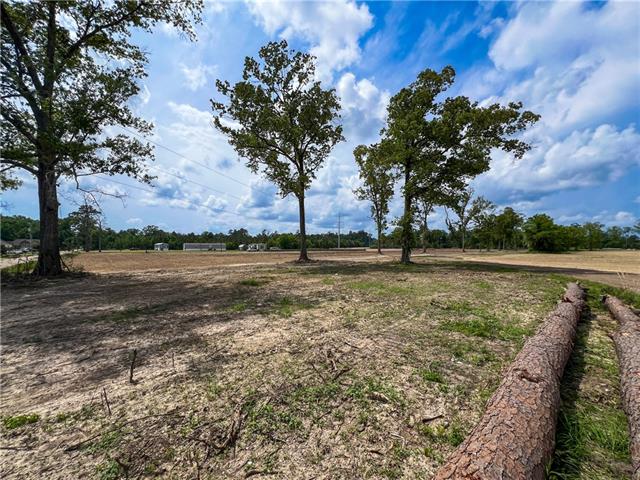 16143 West Murray Road Ponchatoula, LA 70454 - Photo 15 of 28