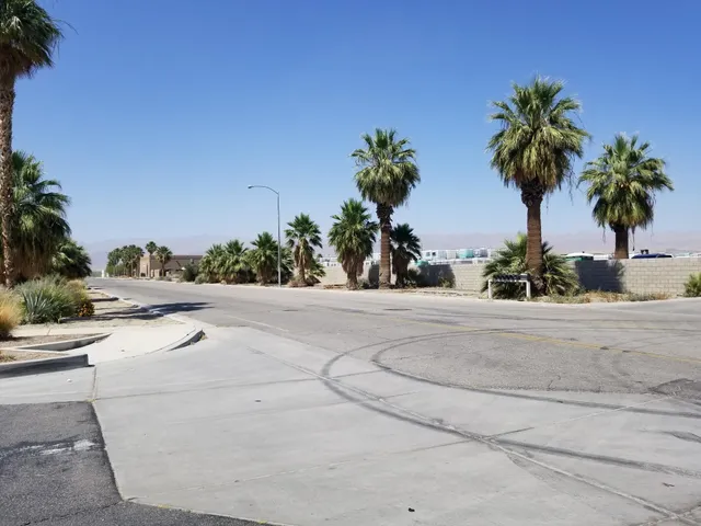 a view of a dry yard with wooden fence