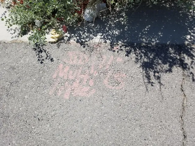 a view of a park with pathway