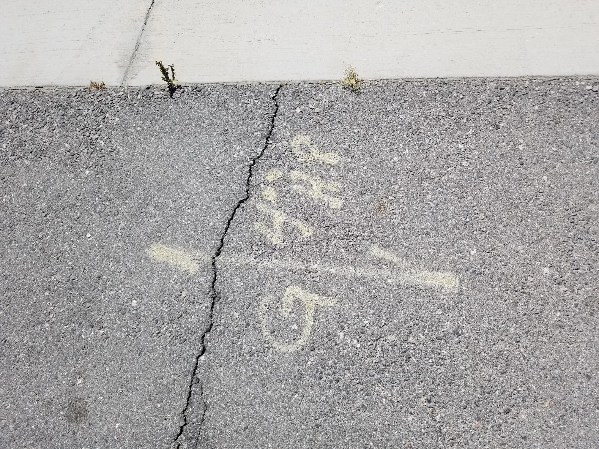 54 & Polk Street Coachella, CA 92236 - Photo 29 of 62 a view of a dry yard with wooden fence