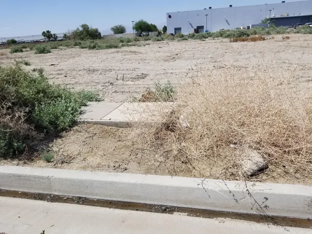 a view of a dry yard