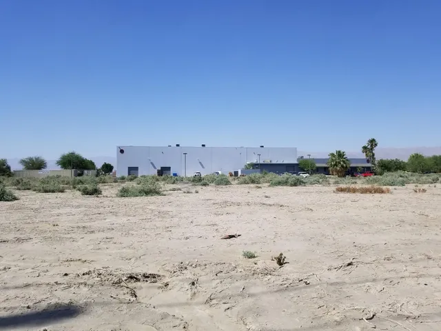 a view of a dry yard