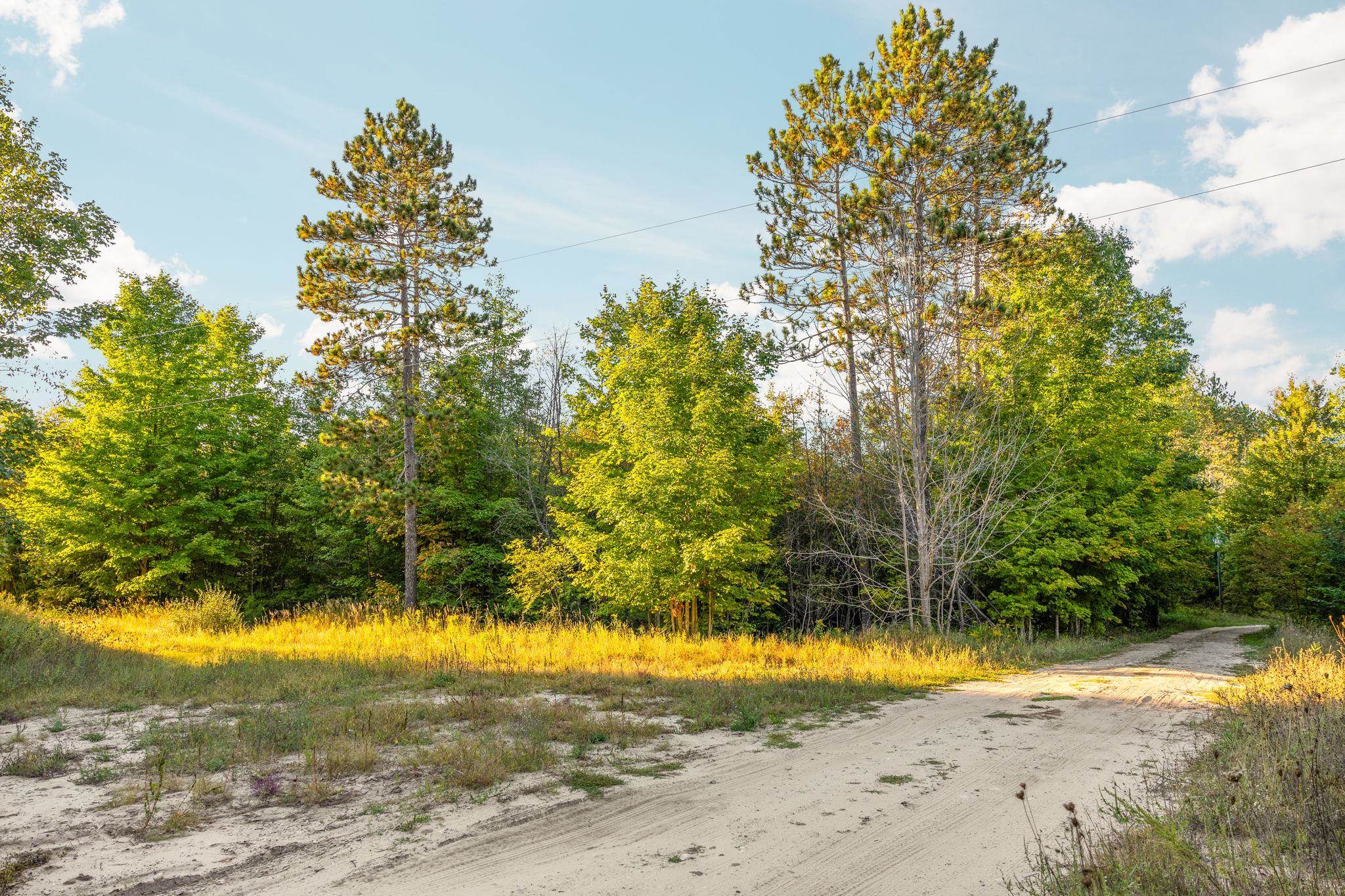 171 Colt Road Northeast Kalkaska, MI 49646 - Photo 18 of 25 Gallery Image 18