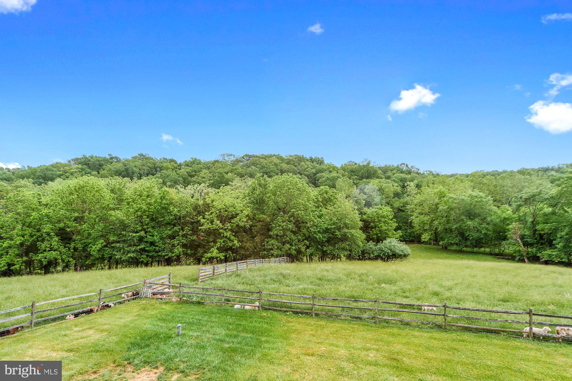21772 Watson Road Leesburg, VA 20175 - Photo 26 of 31 Gallery Image 26
