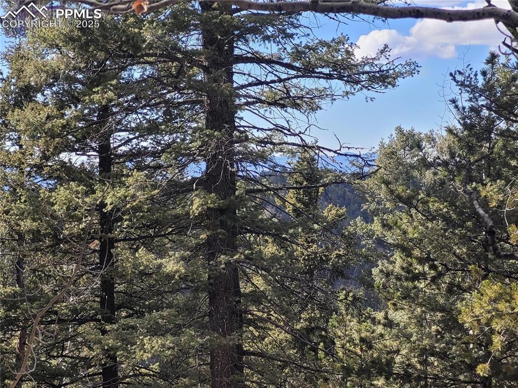 329 Paradiso Road Divide, CO 80814 - Photo 12 of 25