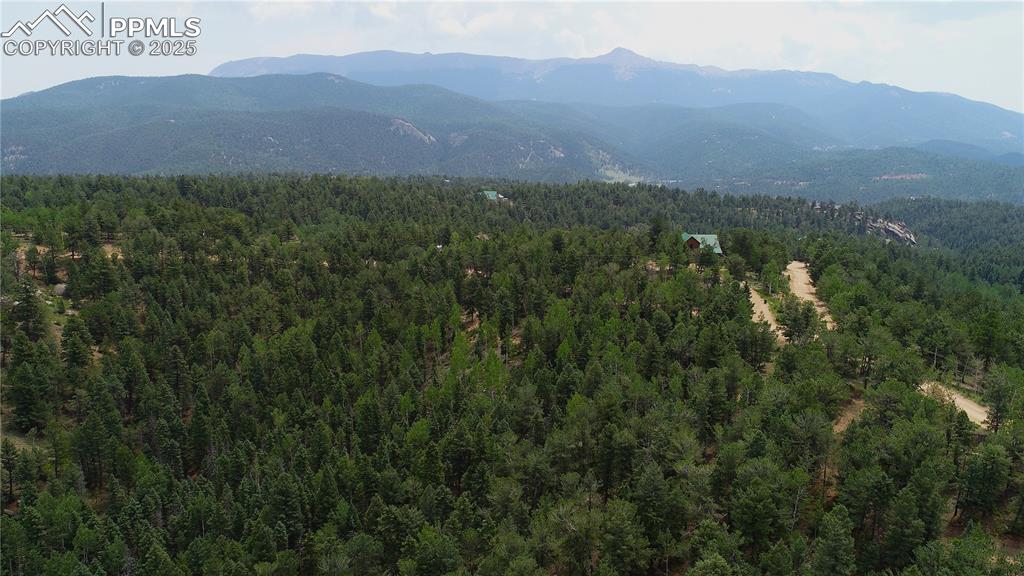 329 Paradiso Road Divide, CO 80814 - Photo 18 of 25 a view of a lush green hillside and a building