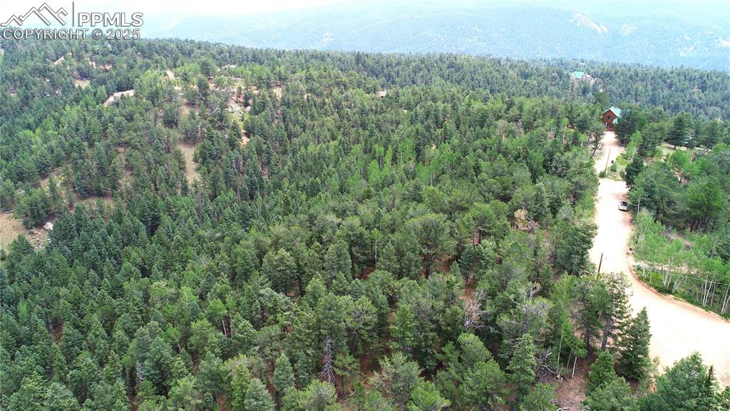329 Paradiso Road Divide, CO 80814 - Photo 19 of 25 an aerial view of forest