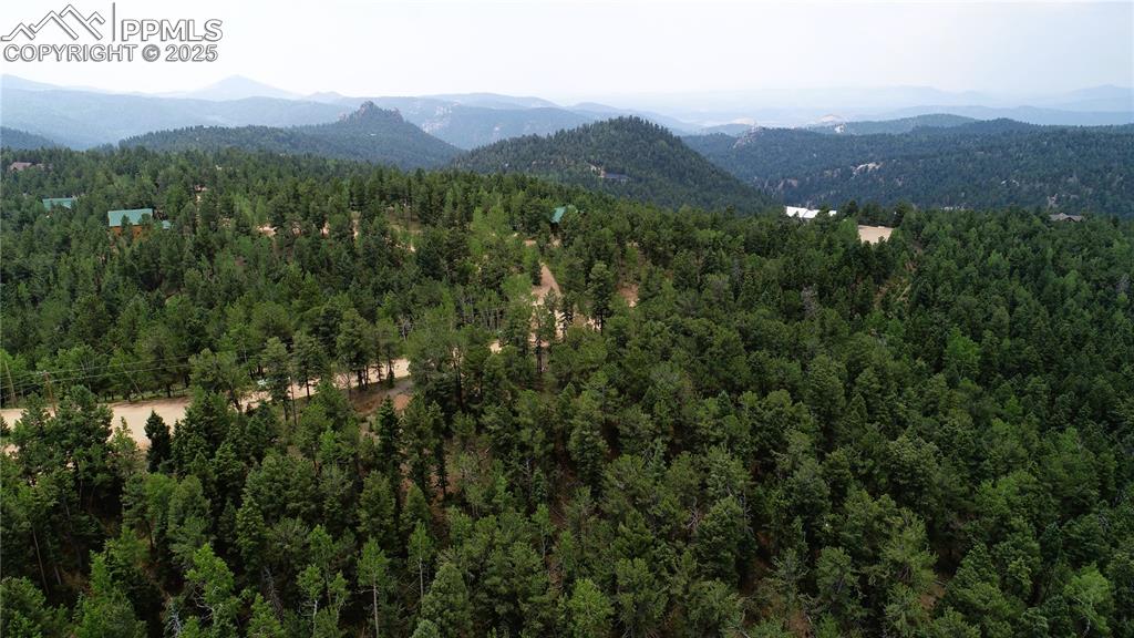329 Paradiso Road Divide, CO 80814 - Photo 20 of 25 a view of a lush green hillside and houses