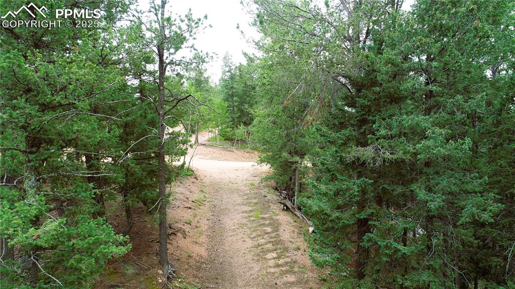 329 Paradiso Road Divide, CO 80814 - Photo 25 of 25 a view of a pathway both side of yard