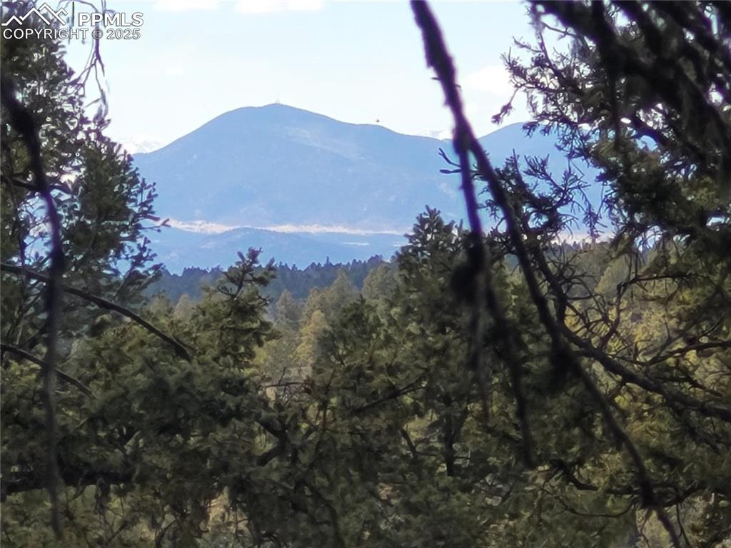 329 Paradiso Road Divide, CO 80814 - Photo 5 of 25 a view of a house with a mountain in the background