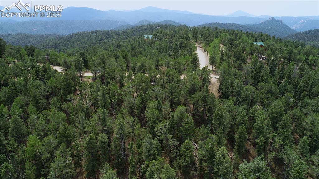 329 Paradiso Road Divide, CO 80814 - Photo 6 of 25 a view of a lush green hillside and a building in the background