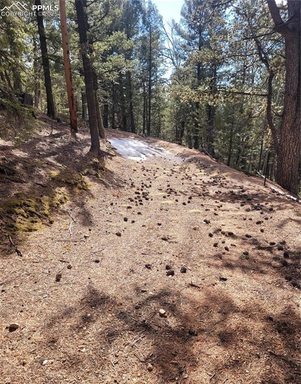 329 Paradiso Road Divide, CO 80814 - Photo 9 of 25 a view of a backyard of a house