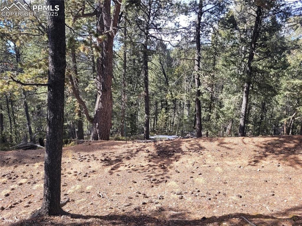 329 Paradiso Road Divide, CO 80814 - Photo 10 of 25 a view of a snow in the yard