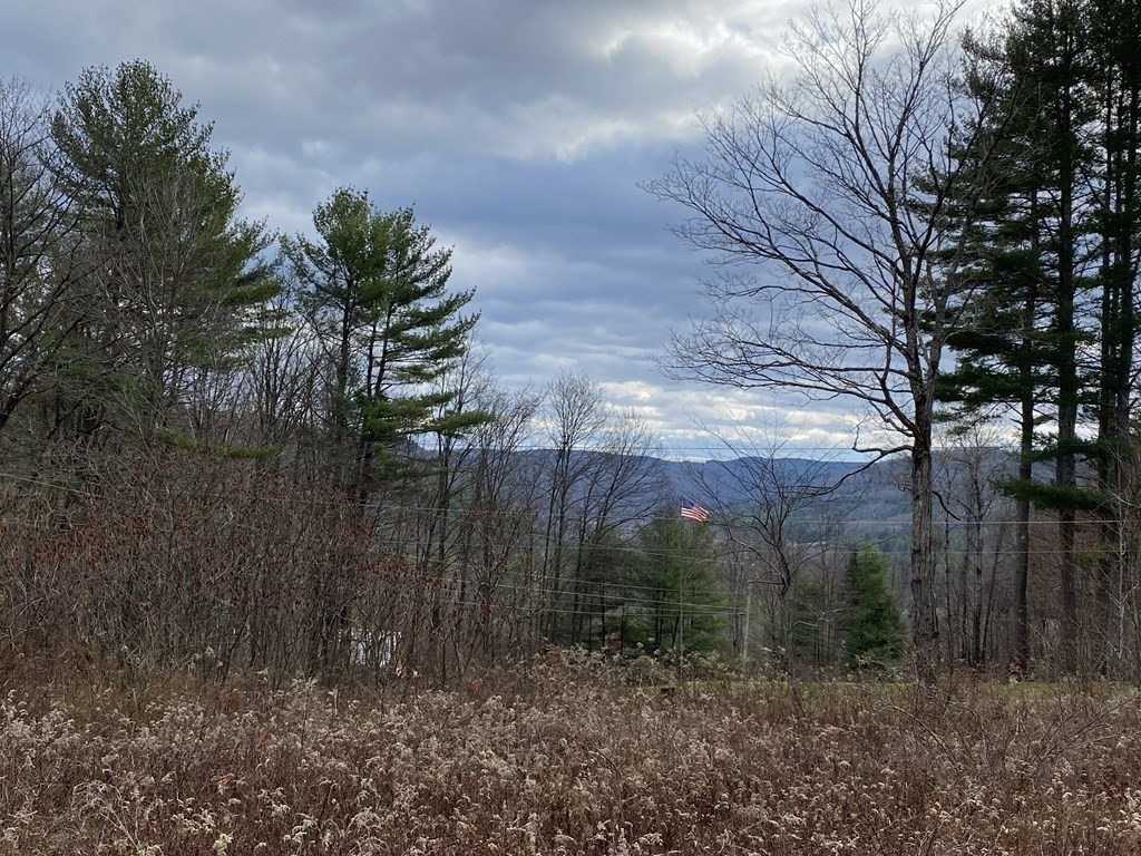 44 Wilson Hill Road Colrain, MA 01340 - Photo 1 of 9 Gallery Image 1