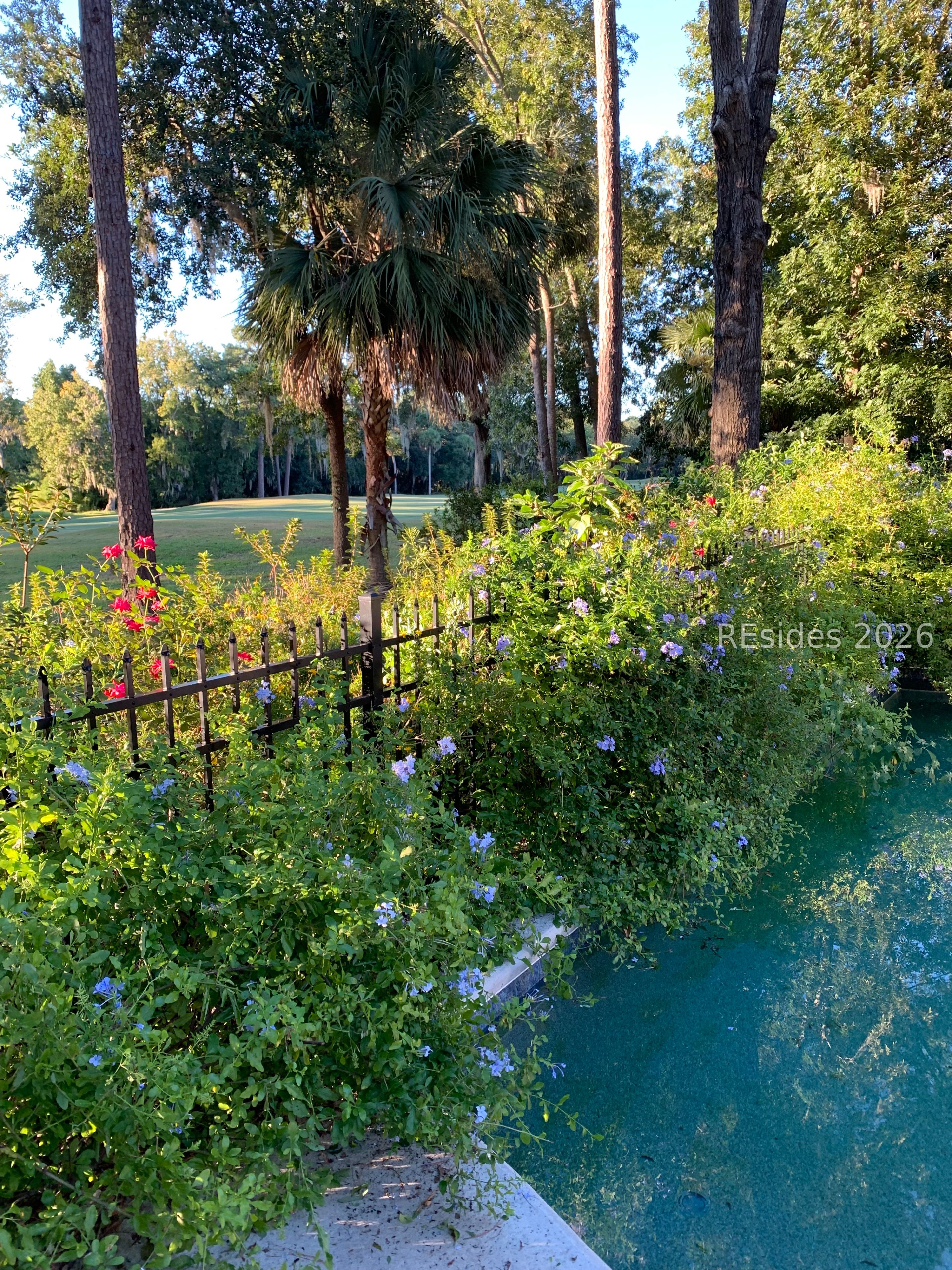 18 Timber Lane Hilton Head Island, SC 29926 - Photo 59 of 61 Back View Spring