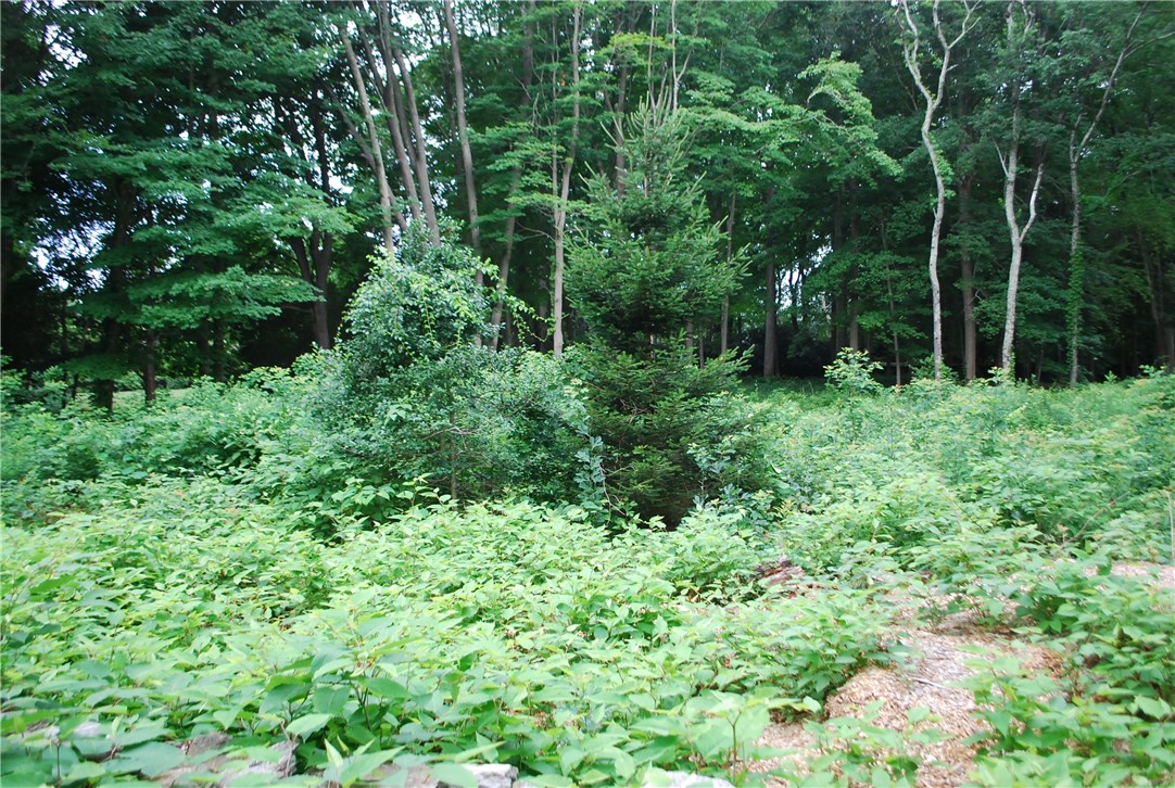 0 South Road Kingston, RI 02881 - Photo 2 of 4