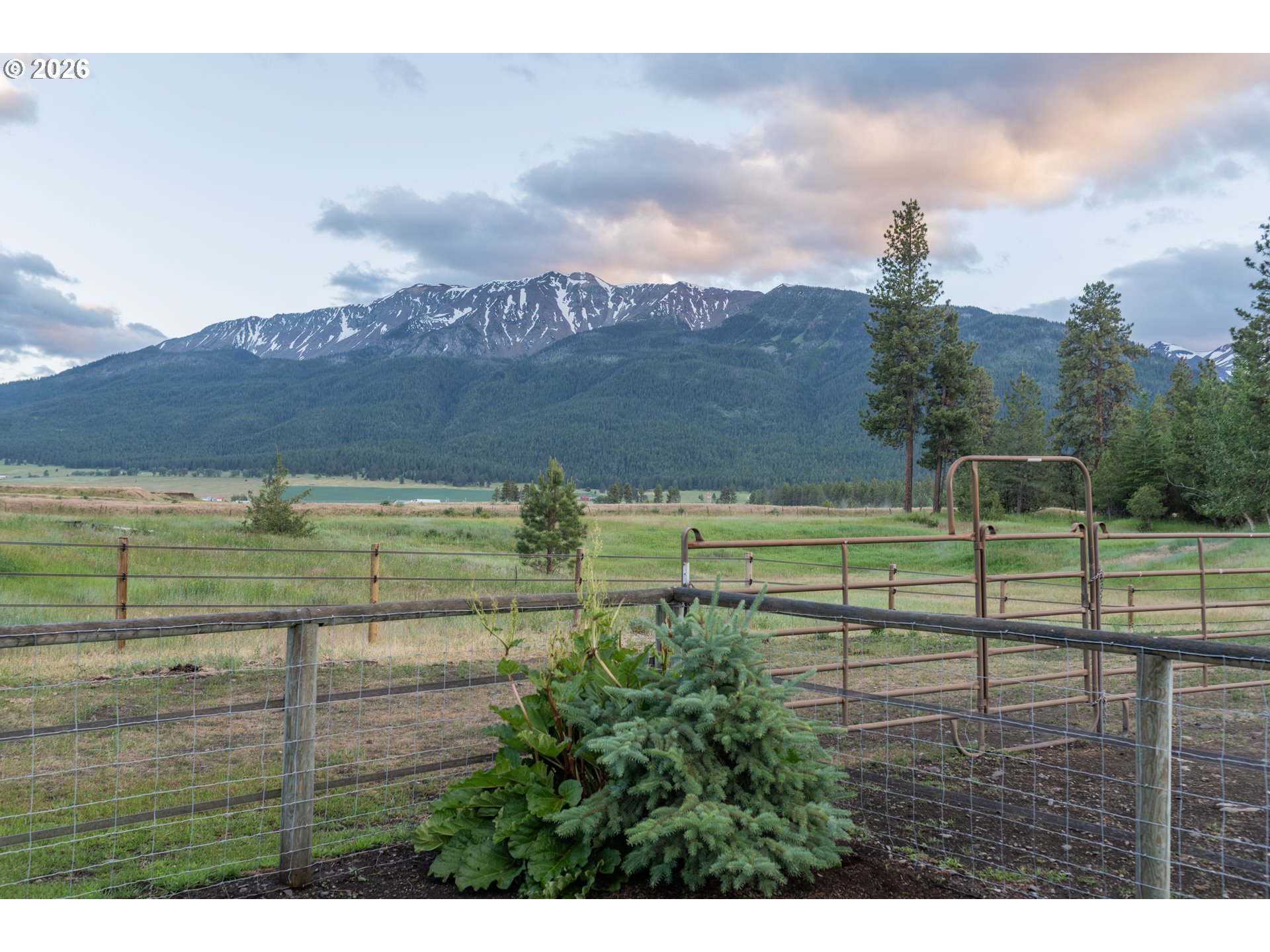 83440 Russell Lane Joseph, OR 97846 - Photo 17 of 19 a view of a big yard