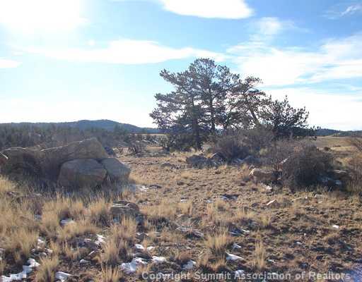 1642 Yellowstone Road Hartsel, CO 80449 - Photo 11 of 12