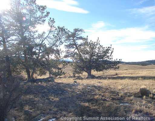 1642 Yellowstone Road Hartsel, CO 80449 - Photo 3 of 12