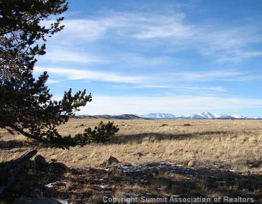 1642 Yellowstone Road Hartsel, CO 80449 - Photo 5 of 12