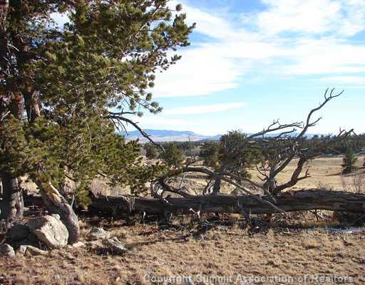 1642 Yellowstone Road Hartsel, CO 80449 - Photo 9 of 12