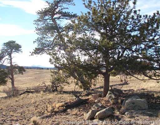 1642 Yellowstone Road Hartsel, CO 80449 - Photo 10 of 12