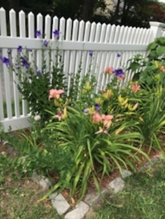 37 Skelton Road Burlington, MA 01803 - Photo 40 of 40 Gallery Image 40