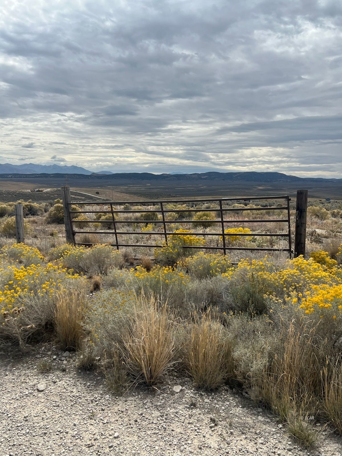 2016 Pickering Avenue Spring Creek, NV 89815 - Photo 2 of 11